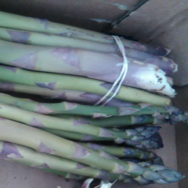 Espargos Verdes Bio, 250 gr