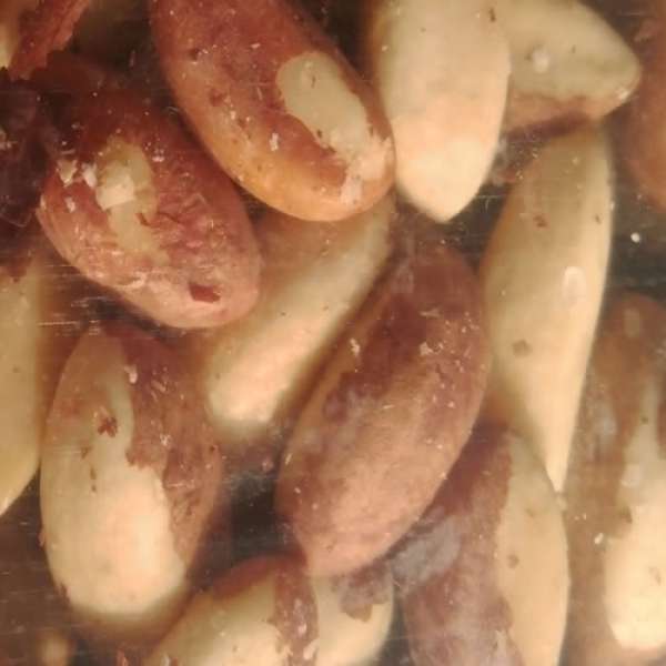 Castanha do Brasil Bio