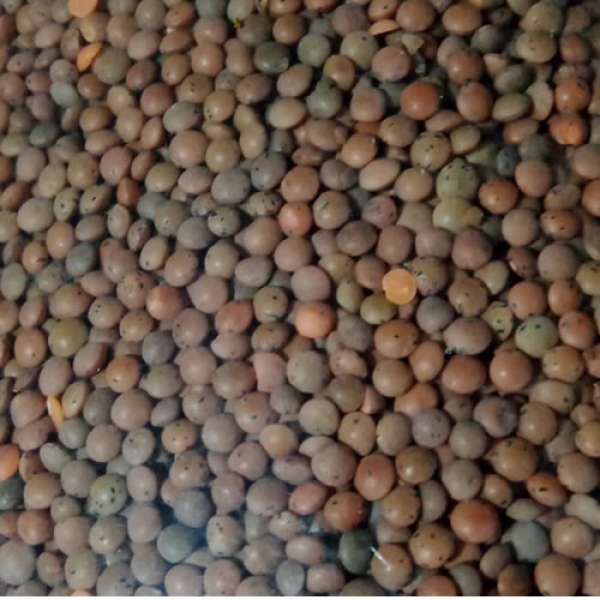 Lentilhas Castanhas Bio