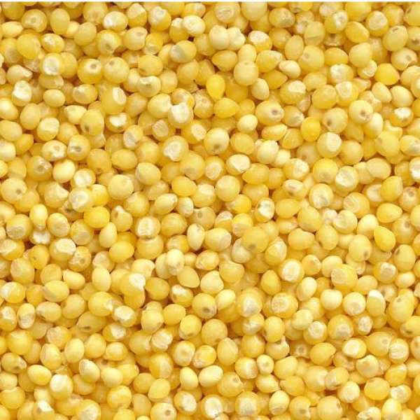 Millet Bio