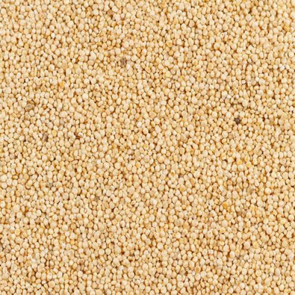 Grão Quinoa Real Bio